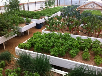 Includes Commercial Aquaponics Training Certification, Course ...