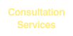 Consultation Services